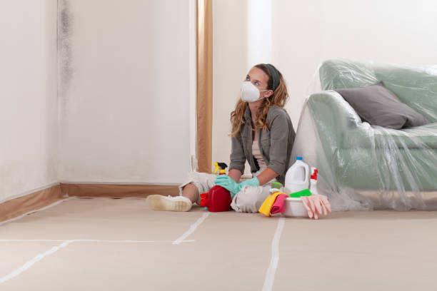 Reliable Mold Inspection And Testing contractor in Wylie, TX by Car Mold Remediation